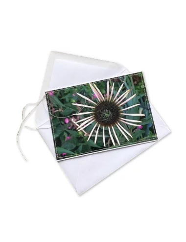 Glückwunsch- & Gruss Karte genäht - Echinacea weiss Aussenseite
