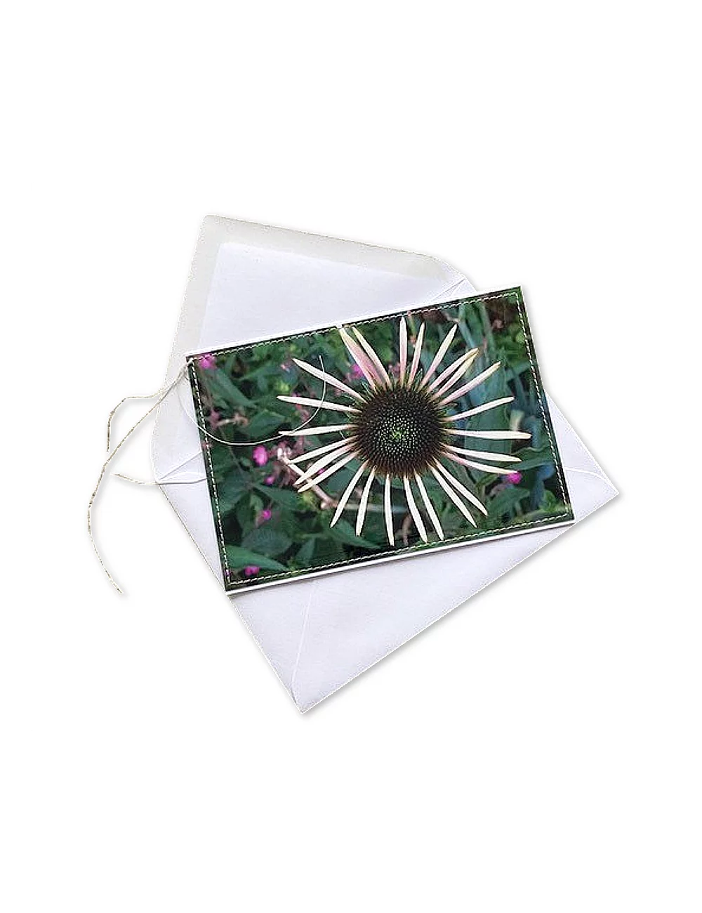 Glückwunsch- & Gruss Karte genäht - Echinacea weiss Aussenseite