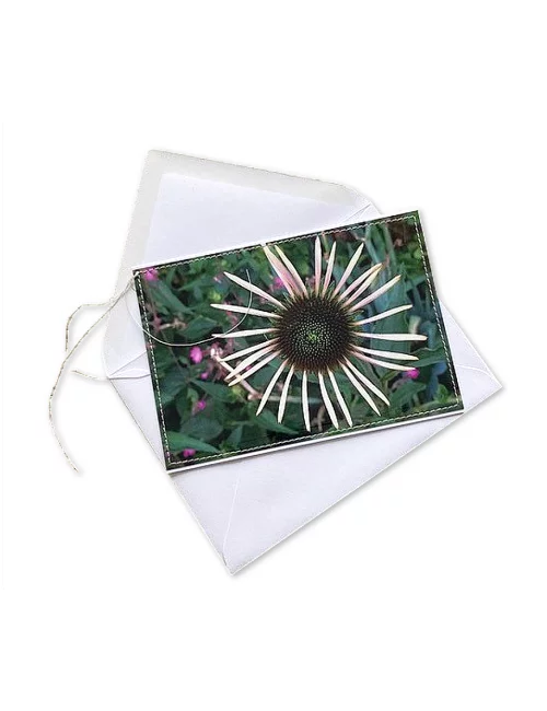 Glückwunsch- & Gruss Karte genäht - Echinacea weiss Aussenseite