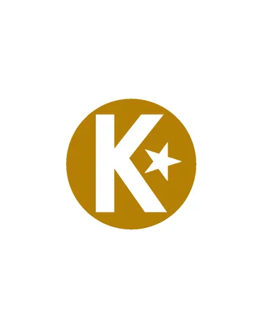 Baumwoll-Kissen - Indisch gelb-grau Rückseite