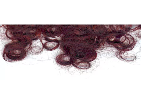 Shampoo, Conditioner, Dusche, Cleanser | Gesicht-, Haar-, Körperpflege | Schweiz